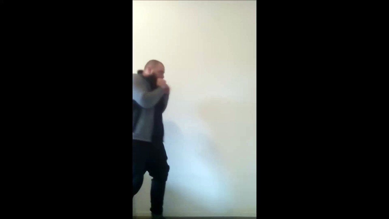 Punches and front kicks 1