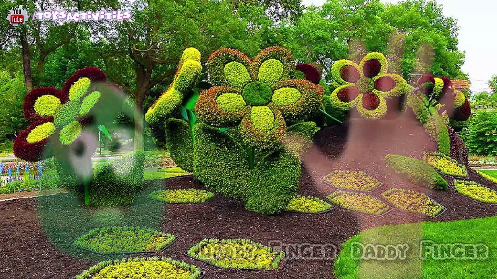 Cartoon Fruit Finger Family Collection Cartoon Fruit Finger Family Songs Fruit Nursery Rhymes,Animat