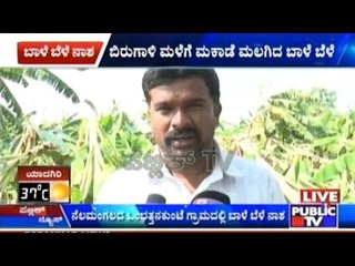 Kolar: Sudden Rain Damages Crops