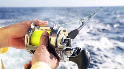 2017 - Marlin U Testimonial - Tony B v1