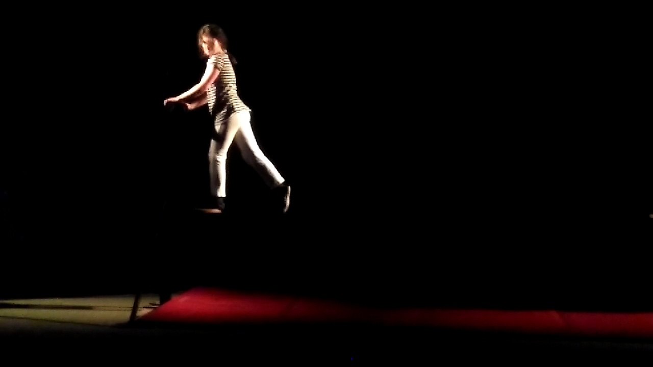 Spectacle de Cirque 2017