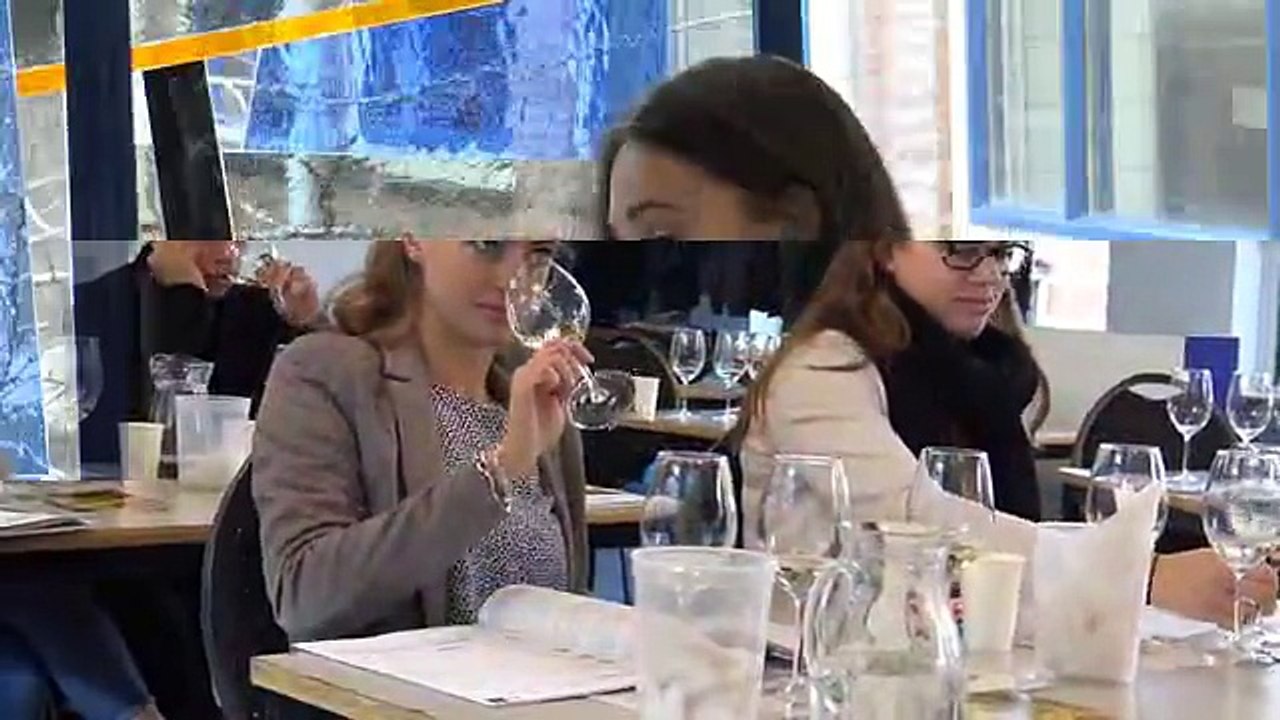 GASTRONOOM⁄ SOMMELIER opleiding & Deutsches Weininstitut_sd_STREAM