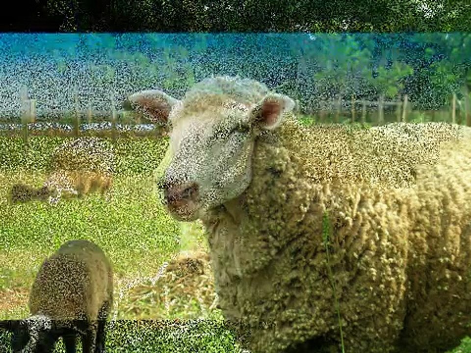 LINDOS HINOS CCB CANTADOS HINÁRIO 5 VOLUME 94 GLORIOSA É A SENDA HINOS CANTADOS CCB