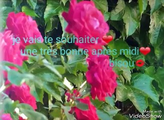 Bonne Après Midi Mon Amour