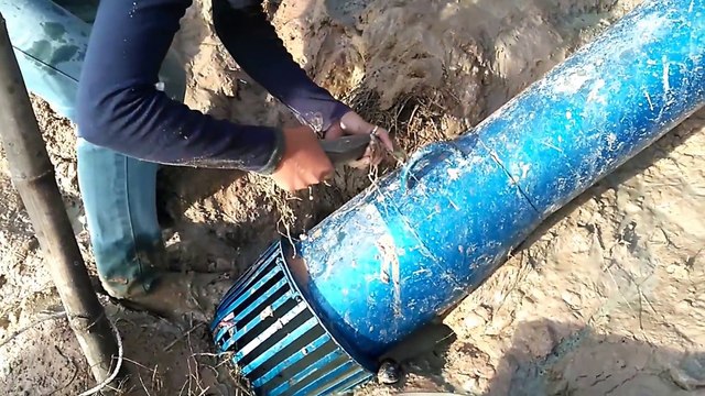 Amazing Beautiful Girl Fishing At Battambang Province In Cambodia Traditional Fishing (part 208)