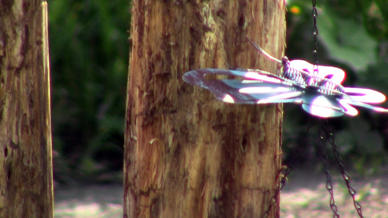 roselin suite et fin