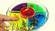 Dye Coloring Learn Colors With Sea Animals Toys Children Toddlers Babies Video For Kids Ki