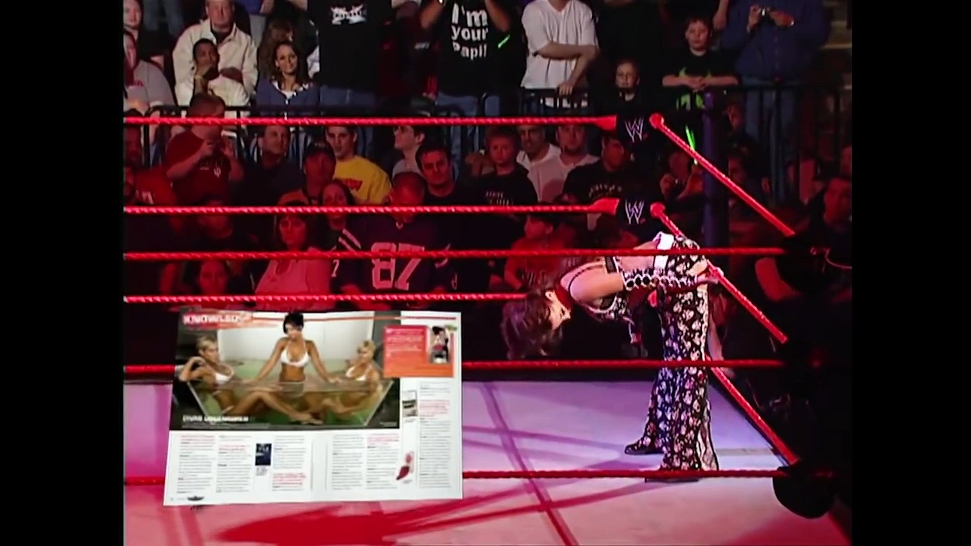 Top 10 Sexiest WWE Pornos