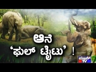 Public TV | Special Time: ಅನೆ ಫುಲ್ ಟೈಟು .! |May 2nd, 2016