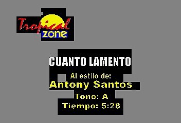 Cuanto Lamento - Anthony Santos (Karaoke)