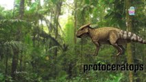 Dinosaurs Jurassic Park   Kids Learn Animated Dinosaurs Name & Sounds   Real Dinosaurs For Children
