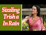 Sizzling Trisha In Rain - Gorgeous In Pink