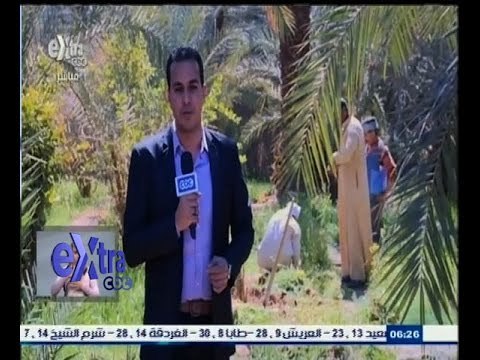 #غرفة_الأخبار | بدء موسم زراعة النخيل بالوادي الجديد