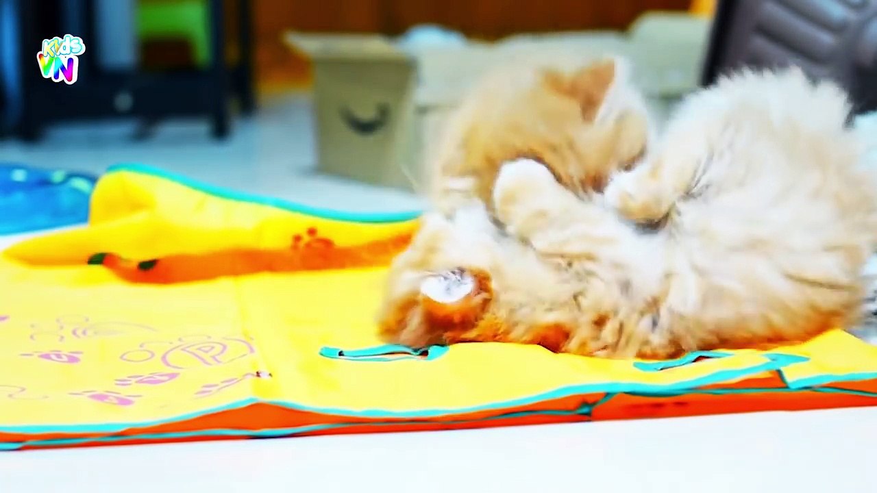 Video Con Heo [HD] - Con Heo Đất Remix - Nhạc Thiếu Nhi Vui Nhộn Hay Nhất