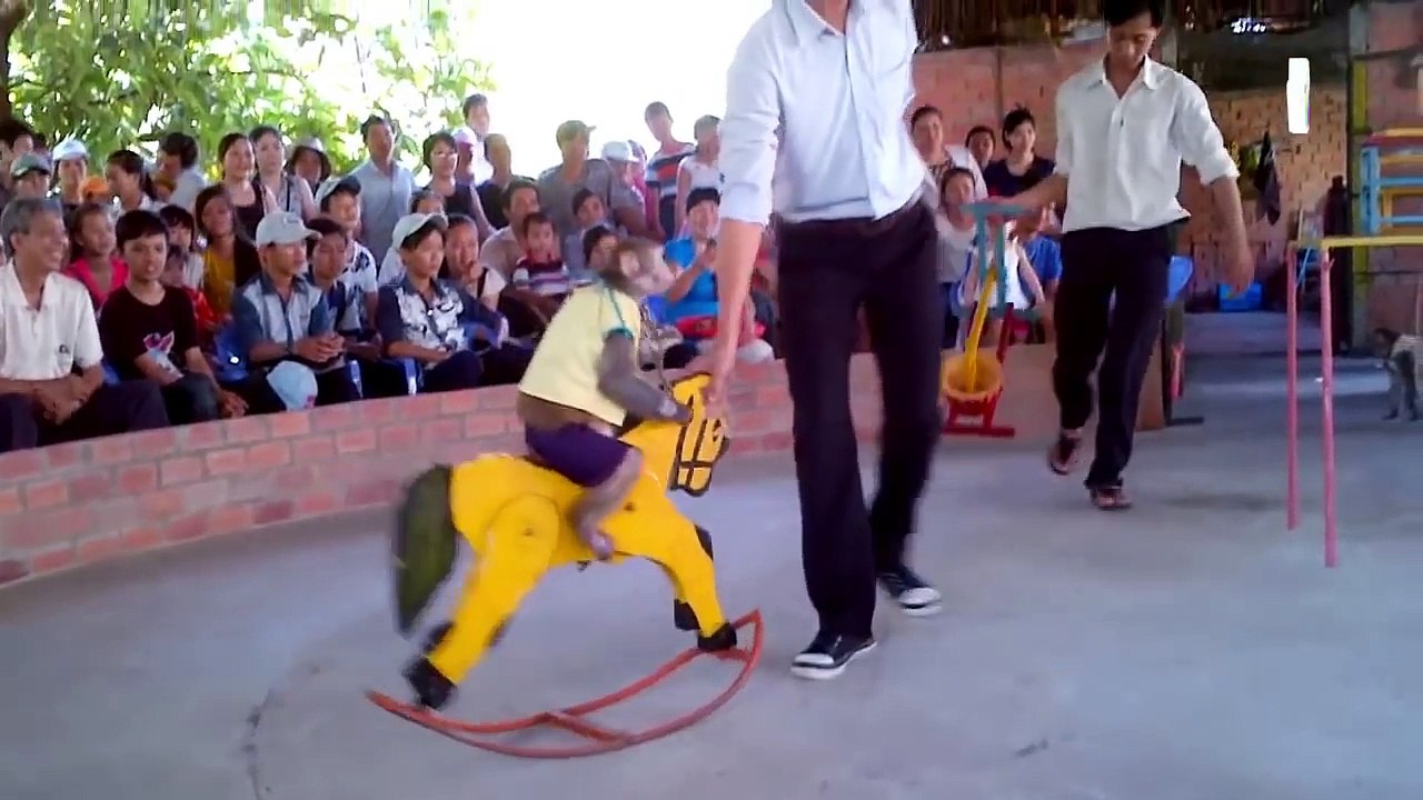 Video Con Thằn Lằn [HD] - Hai Con Thằn Lằn Con - Nhạc Thiếu Nhi Vui Nhộn Hay Nhất