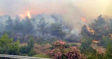 Orman Genel Müdürü Konuştu: Menderes'teki Yangın İnsan Kaynaklı