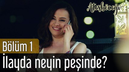 Ateşböceği 1. Bölüm İlayda Neyin Peşinde?