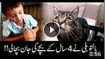 Pet cat saves toddler's life