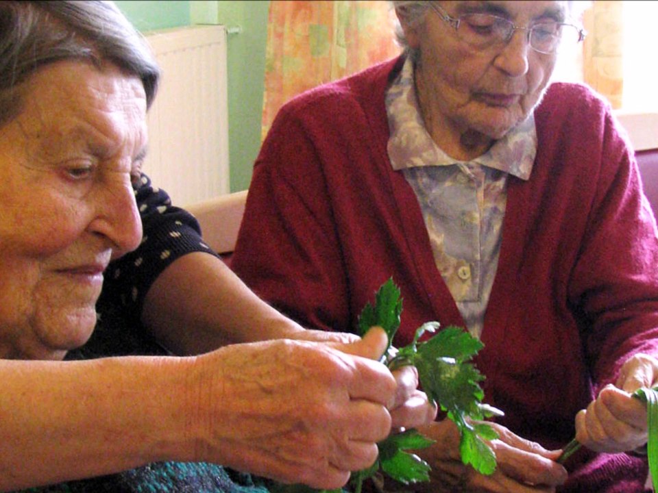 Médiation Animale dans le Tarn
