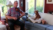 Un violoniste et un chien qui hurle... Joli duo de musiciens