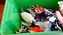 Shark Toys Kids Toy Box Sea Animals Tdsaoy Whales sea turtles caretta caretta turtles