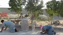 Real Life Super Mario