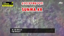 검빛닷컴 , 검빛경마 《《  SunMA.KR 》》 서울레이스