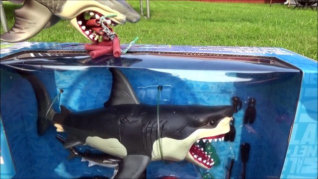 Bath Sharks for Kids Toy UNBOXING: Animal Planet Mega Shark & Orca Encounter