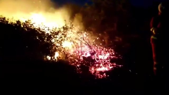 Incendio a Castel del Monte dal pomeriggio sino a notte: danni ambientali gravissimi, animali fuggivano