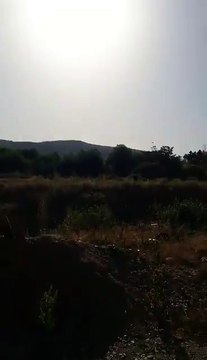 Пожар Делогожда