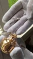 Ce bijoutier-joaillier a fabriqué une magnifique boîte à alliances en forme de vif d'or