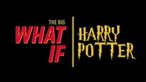 WHAT IF HARRY POTTER...