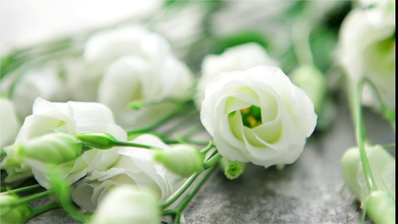 Voyage sensoriel avec le Riesling d'Alsace