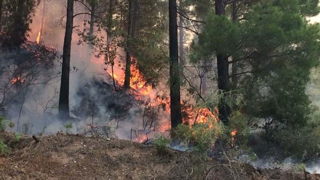 Alanya'da Orman Yangını 10 Hektarda Etkili, Arazöz Alevlerin Ortasında Kaldı