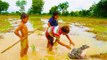 Amazing children digging crazy frog - How to catch frog in a hole in Cambodia