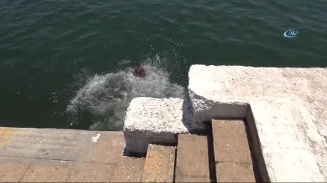 Sıcaktan Bunalan Köpek, Kendini Denize Attı