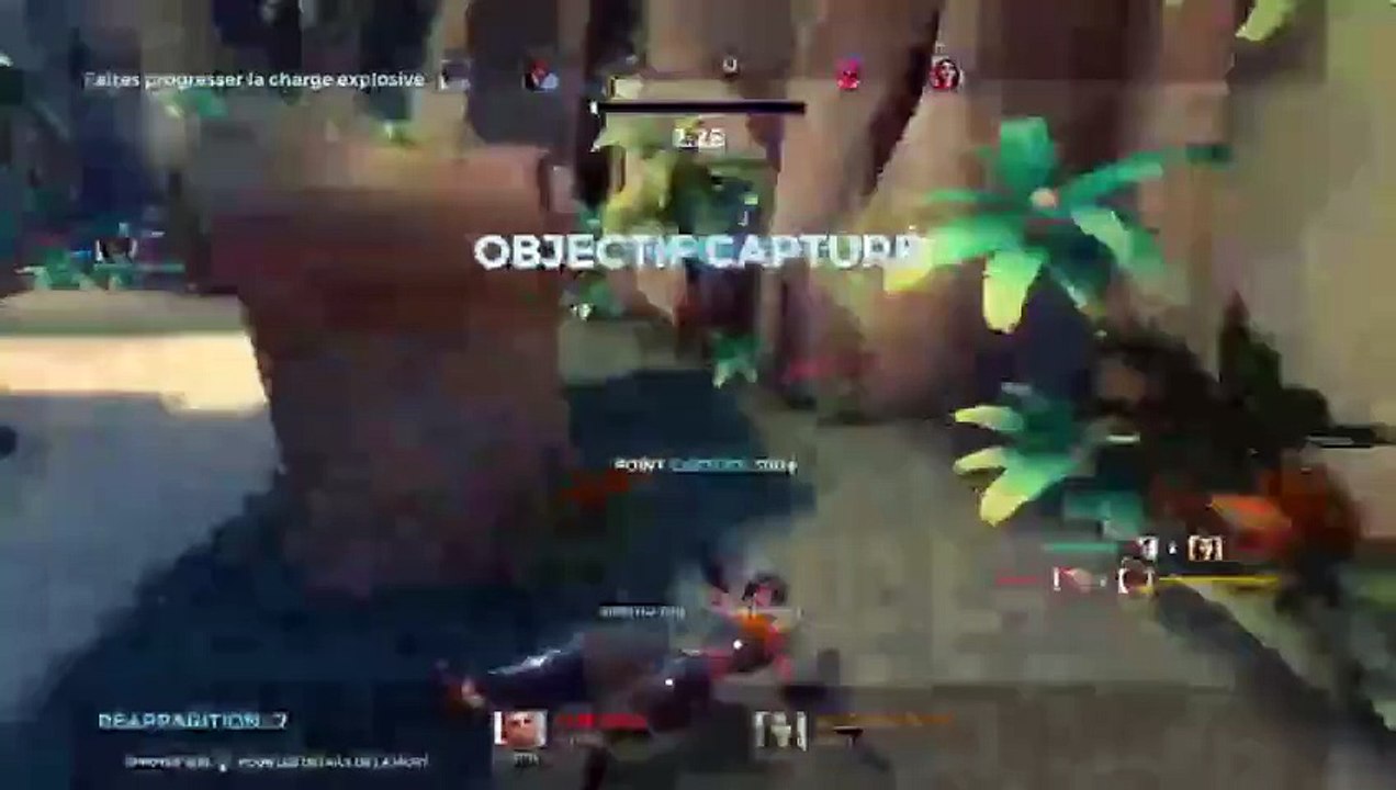 Paladin fr (3)