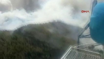 Antalya - Alanya'da Orman Yangını