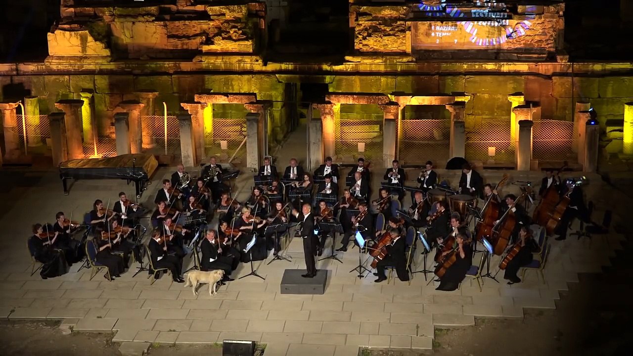 Un chien perturbe un orchestre de musique classique et provoque les rires du public !