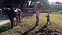Talented Horse Dances With Little Human Pals