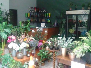 The Mist Season 1 Episode 2 : Withdrawal Streaming Online in HD-720p Video Quality