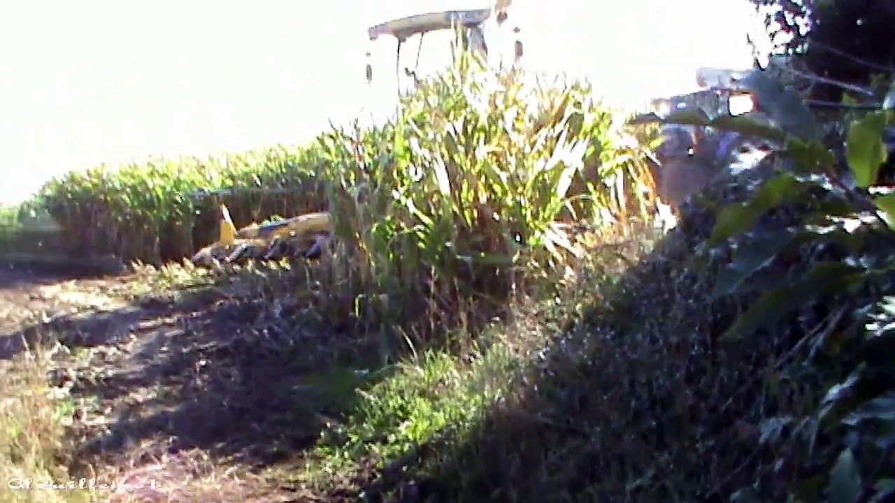 Moissonneuse batteuse et ensileuse NEW HOLLAND CR-9060 en Bretagne pour la recolte de mais