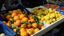 The orange is the fruit of the citrus species Citrus × sinensis in the family Rutaceae