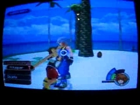 Sora VS Riku