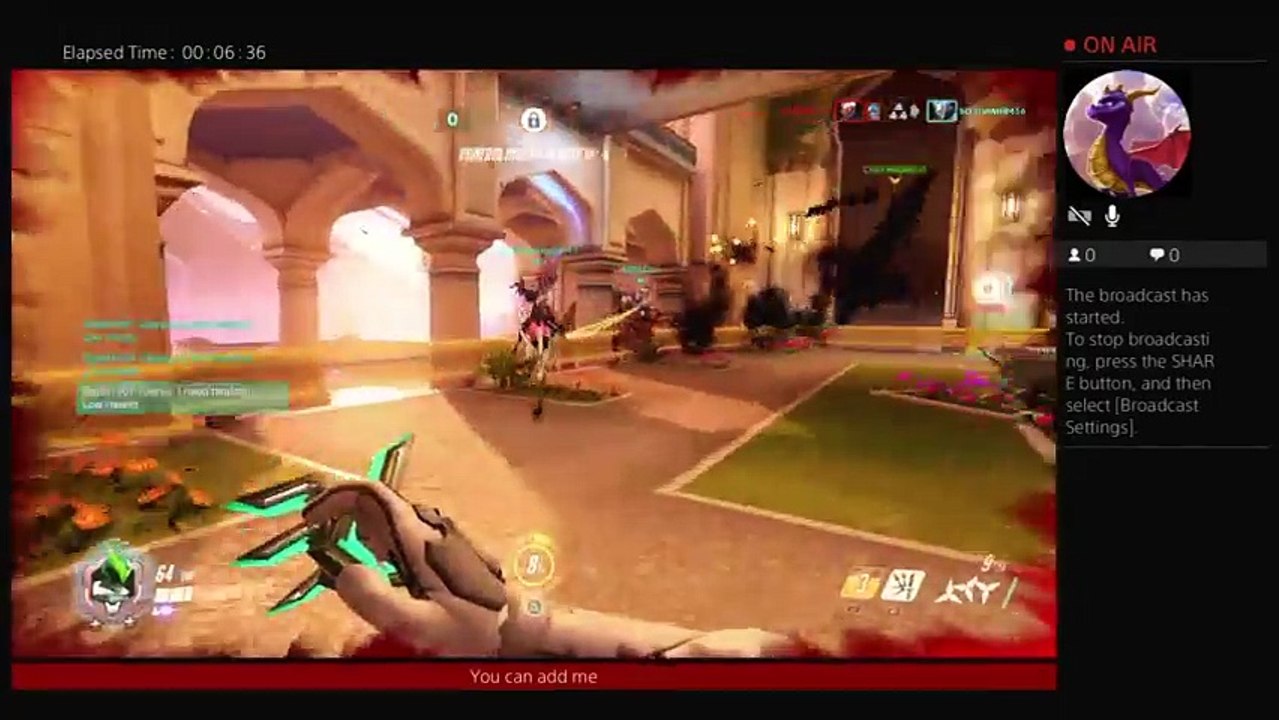 Overwatchgamer (20)