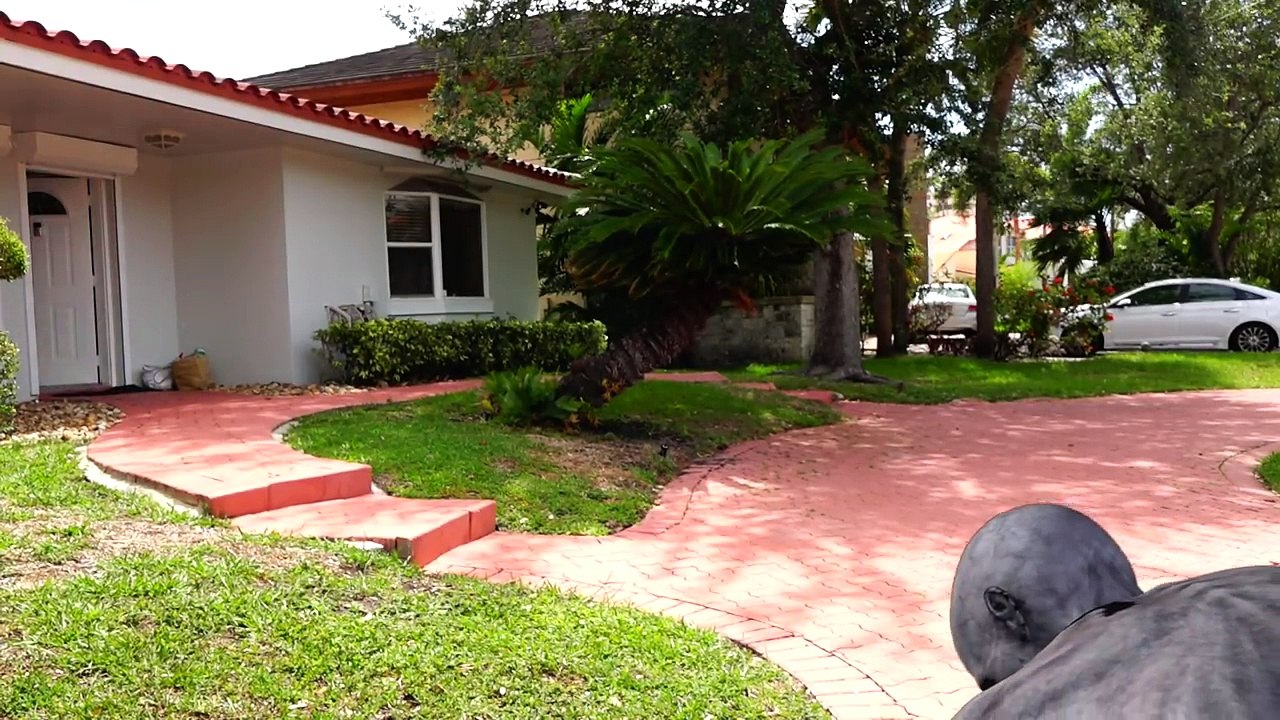 NERF WAR: Zombie Apocalypse НЕРФ ВОЙНА: Зомби Апокалипсис