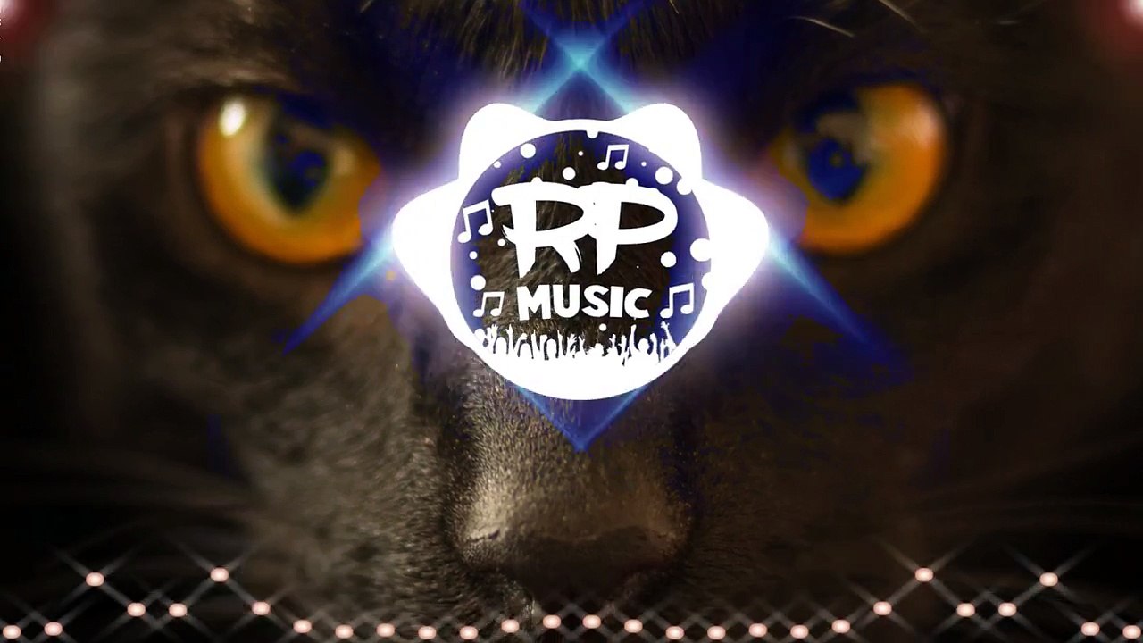 PLS&TY - Run Wild