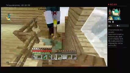 Minecraft com meu amigo (10)