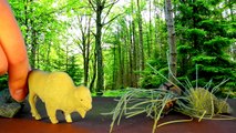 Niños para dibujos animados de los más pequeños animales animales salvajes