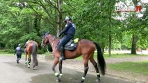A Elancourt et Maurepas, la police municipale passe à cheval